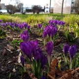 Benutzerfoto Pabloo43