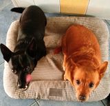 Zdjęcie użytkownika wiktorsubstyk57