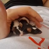 Zdjęcie użytkownika ali3n