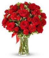 Benutzerfoto pb4133969