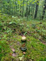 Benutzerfoto fajnyfajny75