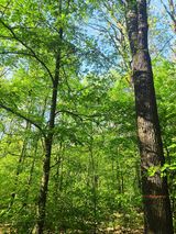 Zdjęcie użytkownika nioberrt451982