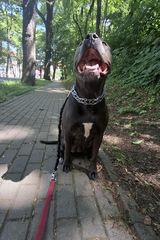 Фото користувача Lewy160