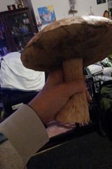 Zdjęcie użytkownika Lucass1980