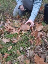 Фото користувача Lucass1980