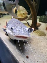 Фото користувача SzlachtowskiE