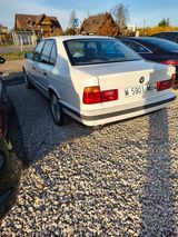 Фото користувача kudra11