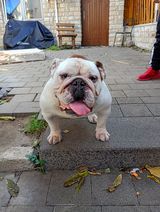 Zdjęcie użytkownika poliwodadamian37