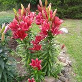 Benutzerfoto grzegorzkaminiski4