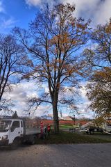 Zdjęcie użytkownika GlowkaMa