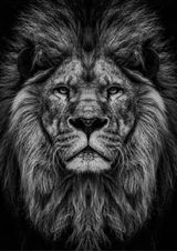 Zdjęcie użytkownika Pretorian40