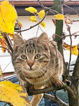 Zdjęcie użytkownika walwk77