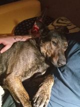 Zdjęcie użytkownika GrzegorzGuciu