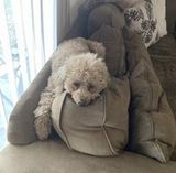 Zdjęcie użytkownika Jones83