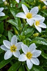 Zdjęcie użytkownika griffinalika165