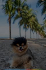 Benutzerfoto siakalaarkadiusz53