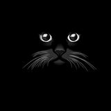 Фотография пользователя SetroE