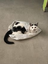 Benutzerfoto Masakra17777