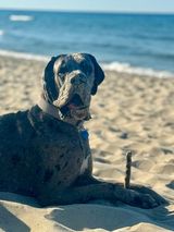 Benutzerfoto timcenkoaleksej3