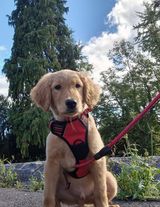 Zdjęcie użytkownika Angeles09