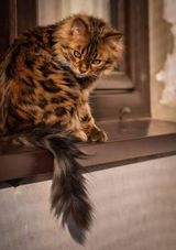 Foto pengguna Wioletta235