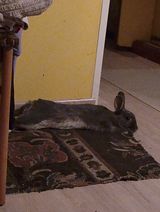 Zdjęcie użytkownika kopyscpiotr332