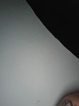 Zdjęcie użytkownika lukul10