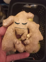 Foto utilizatorului Observer82