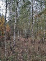 Zdjęcie użytkownika Olka4040