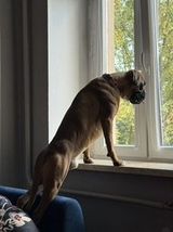 Benutzerfoto Mateuszeq02