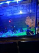 Benutzerfoto matizkowal98