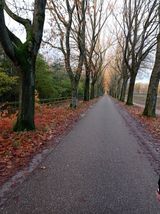 Benutzerfoto kamillll777