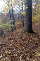 Benutzerfoto WoznicaMa