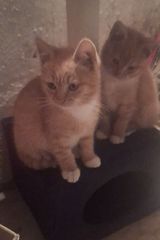 Benutzerfoto martusia20412