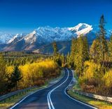 Benutzerfoto leszekwip