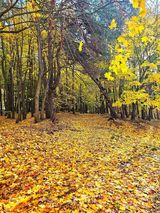 Benutzerfoto PabloPablo1979