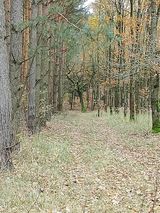 Benutzerfoto rafalpkp1986