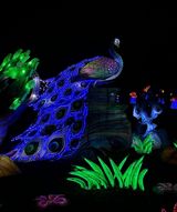 Benutzerfoto DamianMielcarek178