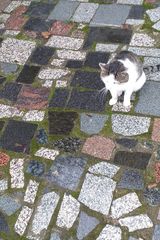 Benutzerfoto rajek7211