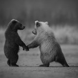 Benutzerfoto daria498