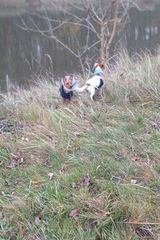 Benutzerfoto PawelMaly2