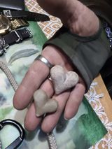 Zdjęcie użytkownika OchuckiRyszard