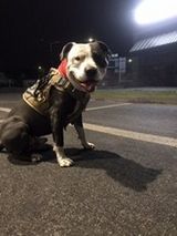 Benutzerfoto AdekKtS