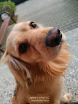 Benutzerfoto sebeek6969