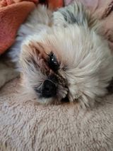 Benutzerfoto Lusia566