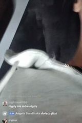 Benutzerfoto Andzelika8885