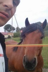 Foto pengguna krystiantarnowski1