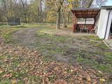 Zdjęcie użytkownika mszyszkowski1989