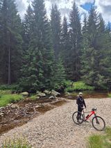 Фотография пользователя mariusz95z