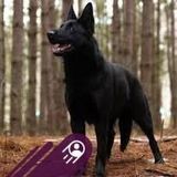 Benutzerfoto GzegorzNS